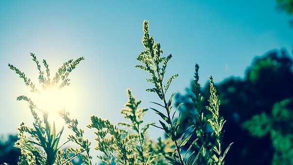 blue-sky-1866985__340.jpg